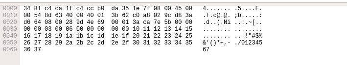 Packet Bytes Wireshark